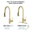 Stainless Steel Pull Down Kitchen Faucet with Soap Dispenser Brushed Gold